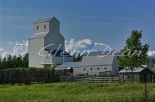 Trewdale
(relocated to
Shamrock area
farm)
July 2004
